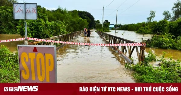 Bình Thuận: Mưa lớn kéo dài, hàng trăm hecta hoa màu chìm trong biển nước