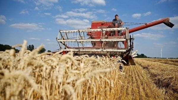 تركيا وحلف شمال الأطلسي يبحثان سبل "إحياء" صفقة الحبوب؛ أوكرانيا لا تؤيد "التهدئة" مع روسيا