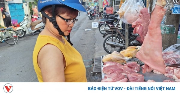 Gefahr der Krankheitsverbreitung durch illegale Schweinehaltung