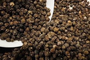 Inmitten des Konflikts in der Ukraine stiegen Vietnams Exporte des „schwarzen Goldes“ in die Ukraine um 6.158 %