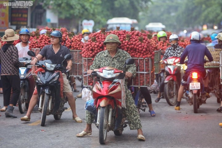 Bac Giang : les agriculteurs se précipitent pour transporter les litchis pour les peser et les vendre, les rues sont teintes en rouge - 4