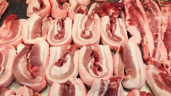 Der Preis für lebende Schweine im Norden stieg um 2.000 VND/kg und erreichte seinen Höchststand bei 53.000 VND/kg