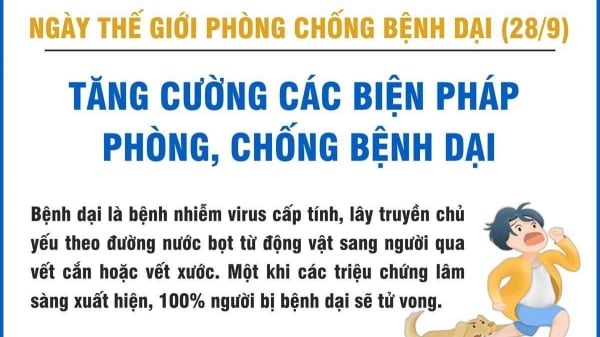 Tất cả vì 1, Một sức khỏe cho tất cả