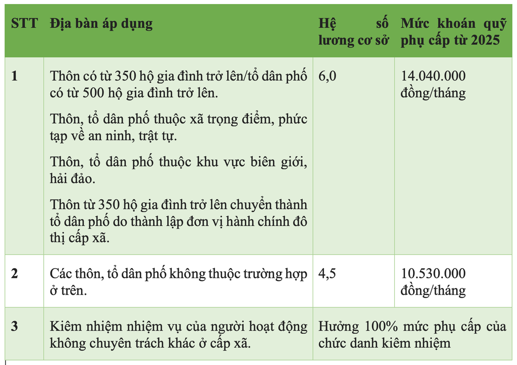 Mức phụ cấp của Bí thư chi bộ kiêm trưởng thôn năm 2025 - 1