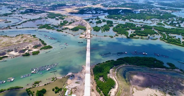 The shape of the 3,000 billion VND road through the mangrove forest connecting to Cai Mep super port