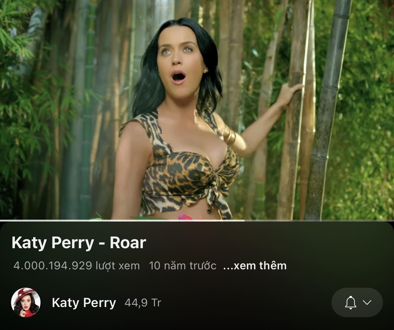 El MV 