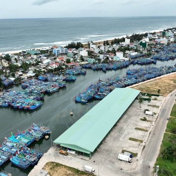 Completen pronto los procedimientos, construyan refugios contra tormentas para los barcos pesqueros