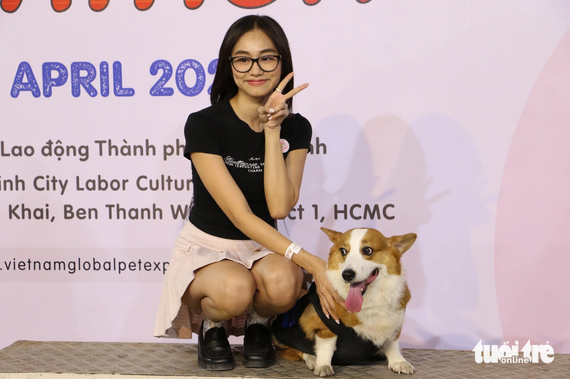 Chú chó corgi tên Athena - một trong những 