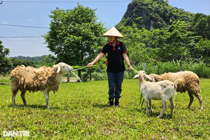 Biến vườn hoang thành điểm check in vạn người mê, 9X thu nửa tỷ đồng - 4