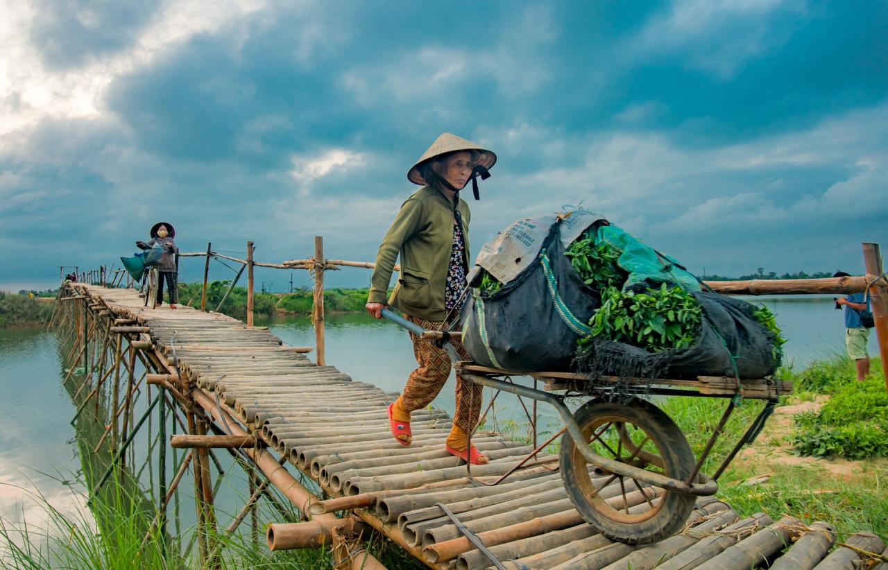 Cầu tre duy nhất còn lại ở Quảng Nam, khách nước ngoài thích thú chụp ảnh - 11