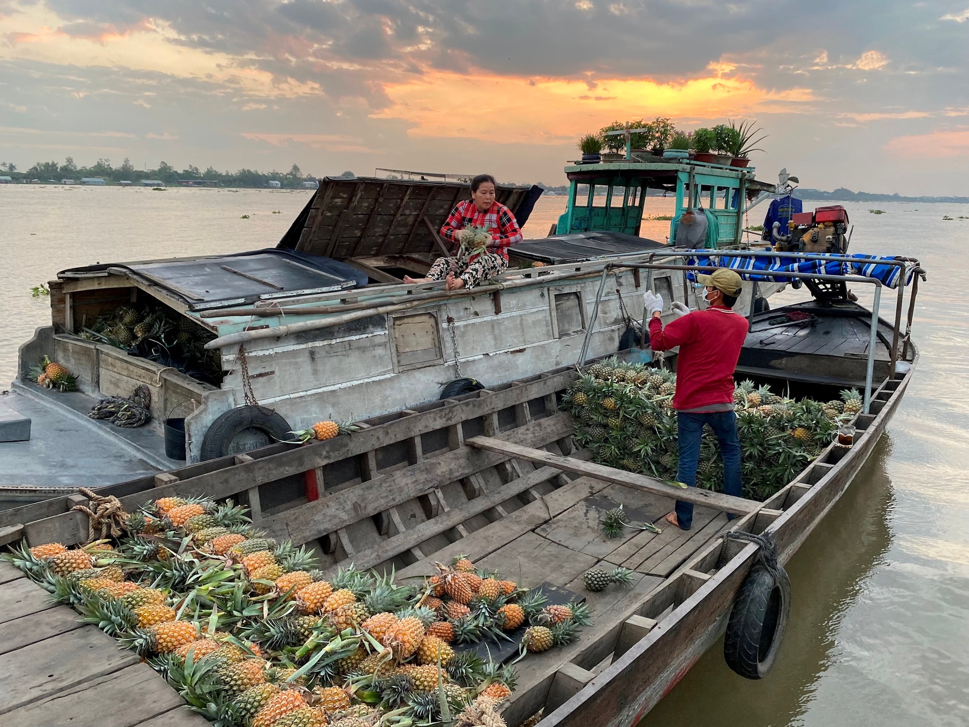 Foto 1 - Cien años de mercado flotante