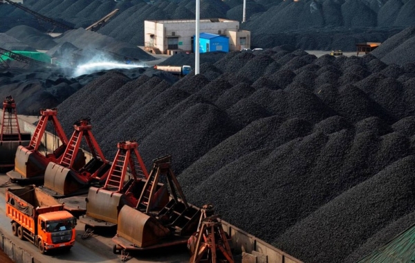 In the first 8 months of the year, coal imports increased sharply in volume and decreased in value.