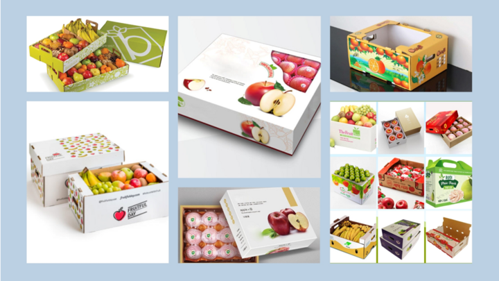 Boxes Vietnam - Der Weg zum weltweiten Export von Obstkartons - 3