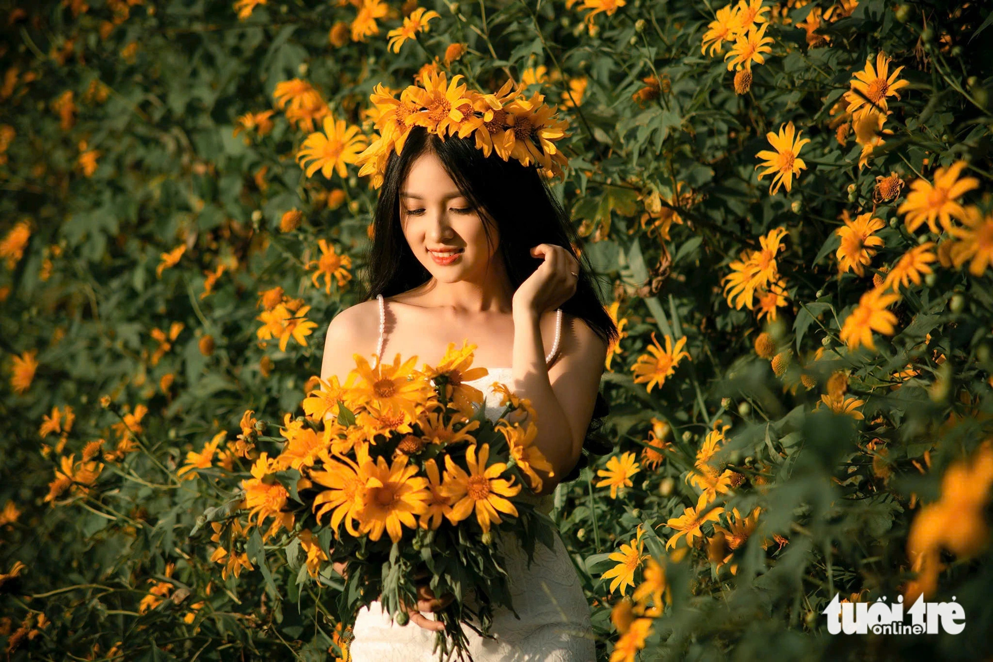 Los girasoles silvestres lucen más hermosos en los suburbios y afueras de Da Lat.