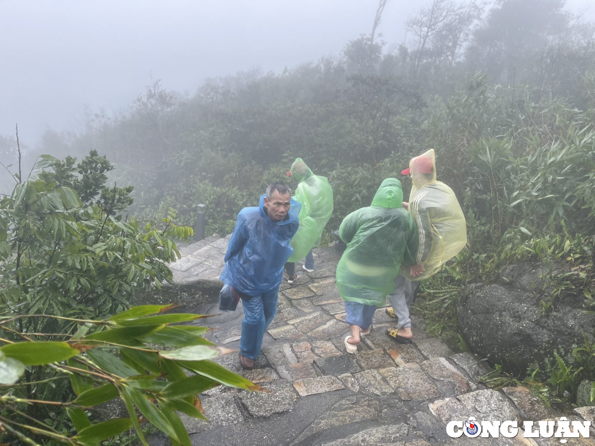 Touristen erobern die Thuong-Pagode in Tay Yen Tu, Bild 11