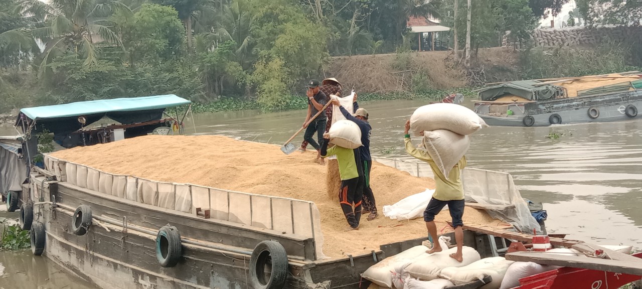 Triển khai đề án một triệu ha lúa chất lượng cao, phát thải thấp - Ảnh 3.