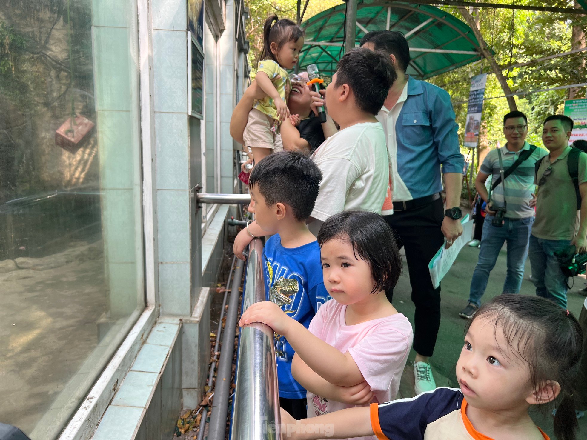 Los turistas disfrutan de la primera fiesta de cumpleaños de dos cachorros de tigre llamados Binh y Duong foto 4