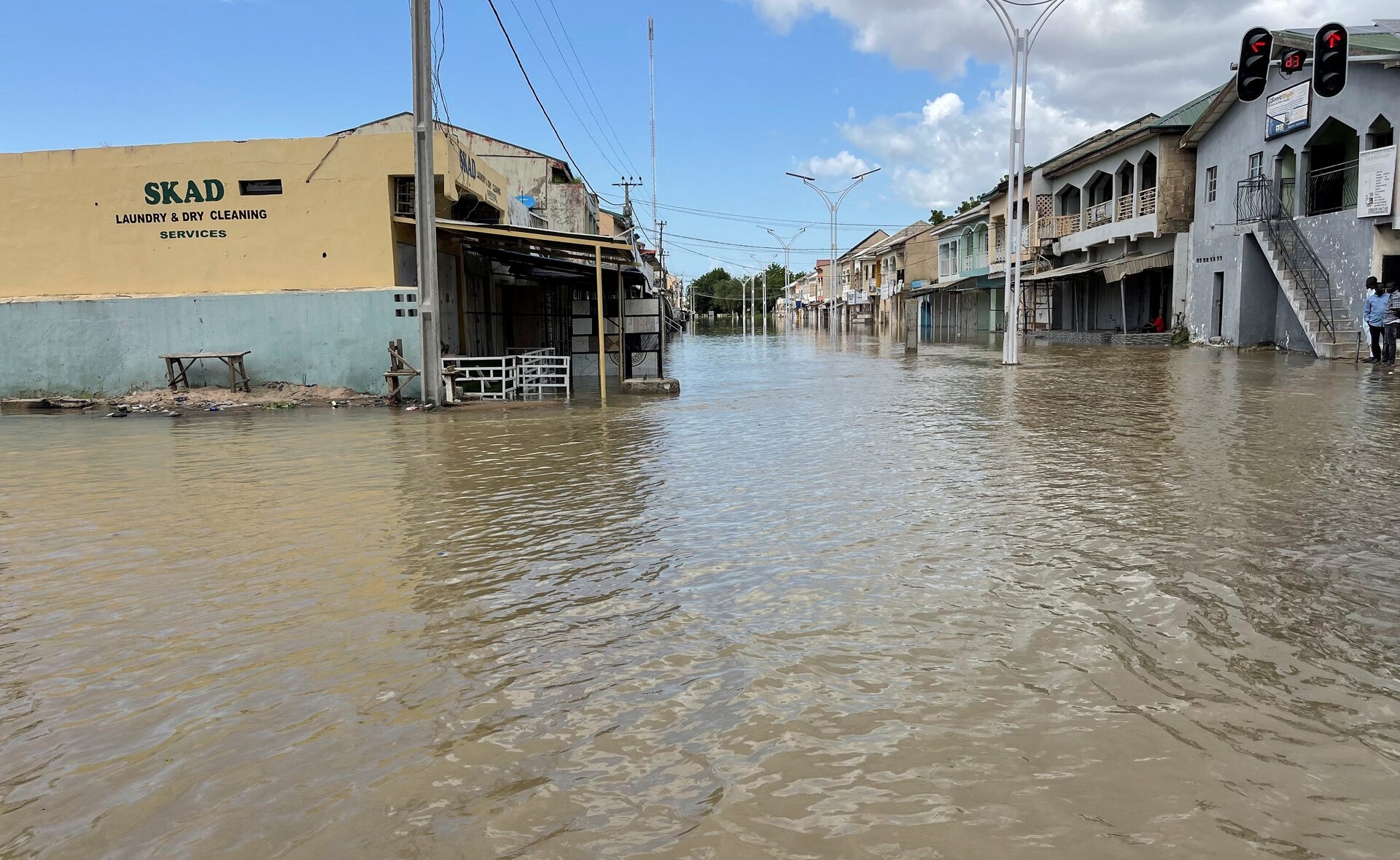 Graves inundaciones en Nigeria arrastran serpientes y peces a la comunidad (imagen 1)