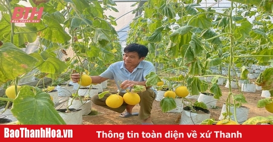 Hỗ trợ lãi suất theo Nghị định 36 giúp nhiều hộ gia đình phát triển sản xuất, kinh doanh hiệu quả