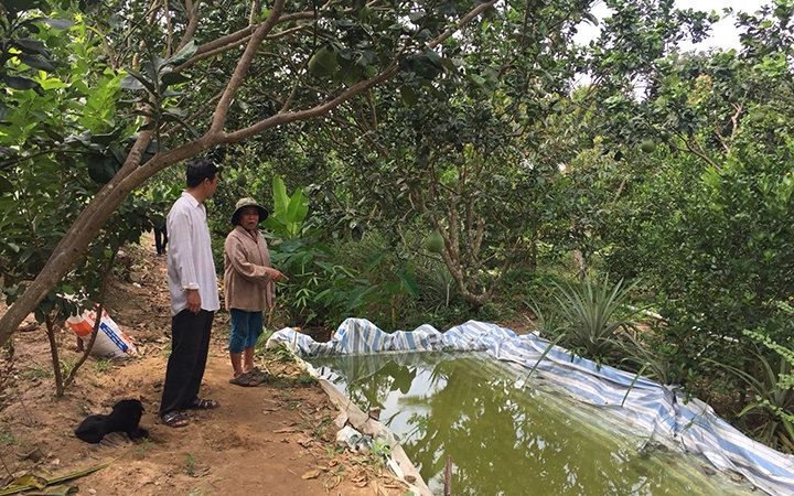 Süßwasserreservoir im Long Xuyen Quadrangle: Lösung zur Bewältigung von Dürre und Salzgehalt im Mekong-Delta