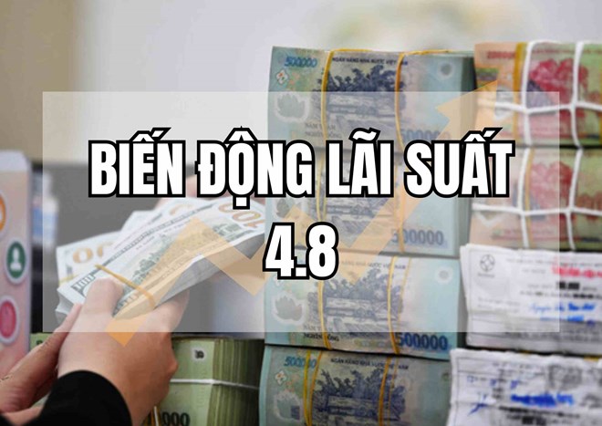 Biến động lãi suất 4.8: Bất ngờ với biến động trái chiều