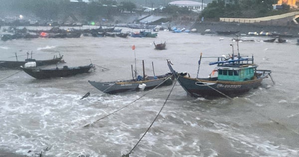 ប្រហែល 90km ពី Da Nang កម្រិត 11 Cu Lao Cham មានរលកធំៗ និងខ្យល់បក់ឥតឈប់ឈរ។