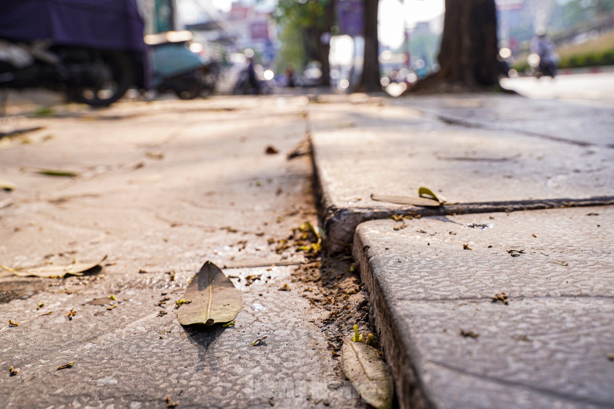 Many sidewalks in the center of the capital are 'ruined' and degraded photo 12