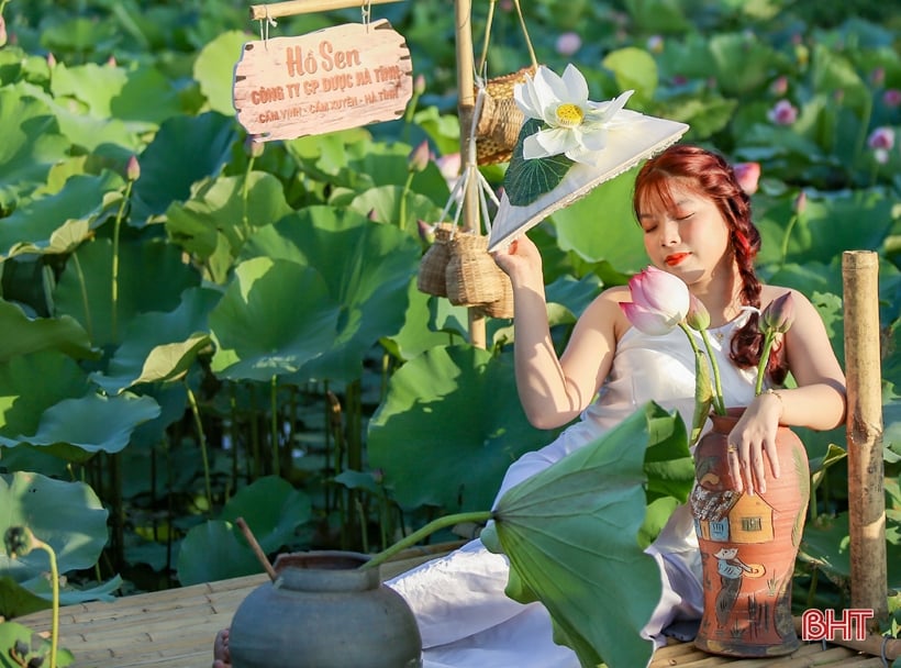 Admire the medicinal lotus pond of Ha Tinh Oriental Medicine Factory