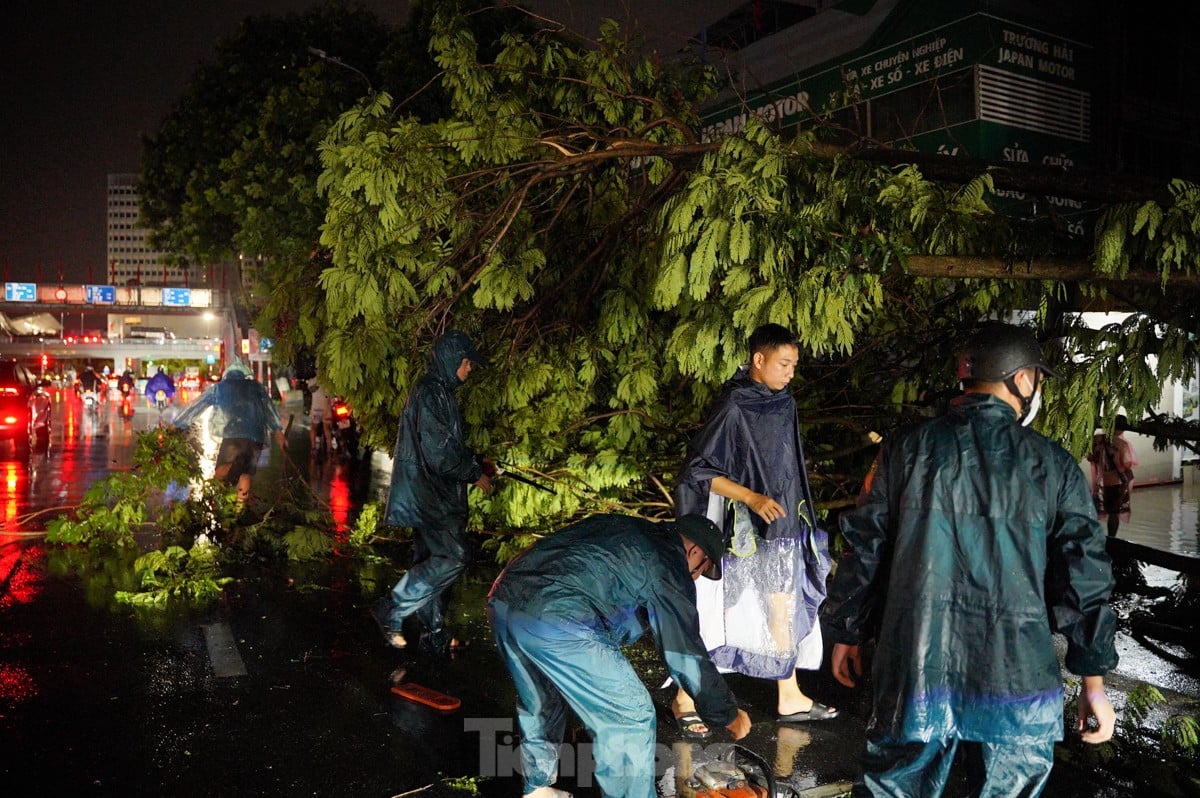 ハノイで大雨​​が降り、一連の木が倒れたり根こそぎにされたりした（写真8）