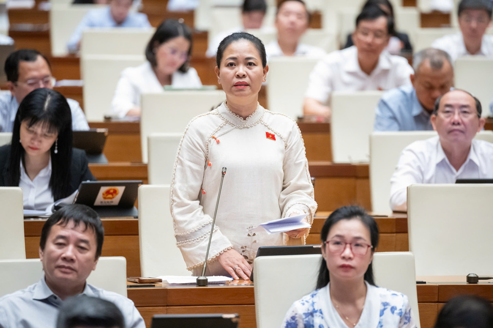 National Assembly Delegate Nguyen Thi Thu Dung (National Assembly Delegation of Thai Binh Province) - Photo: Quochoi.vn