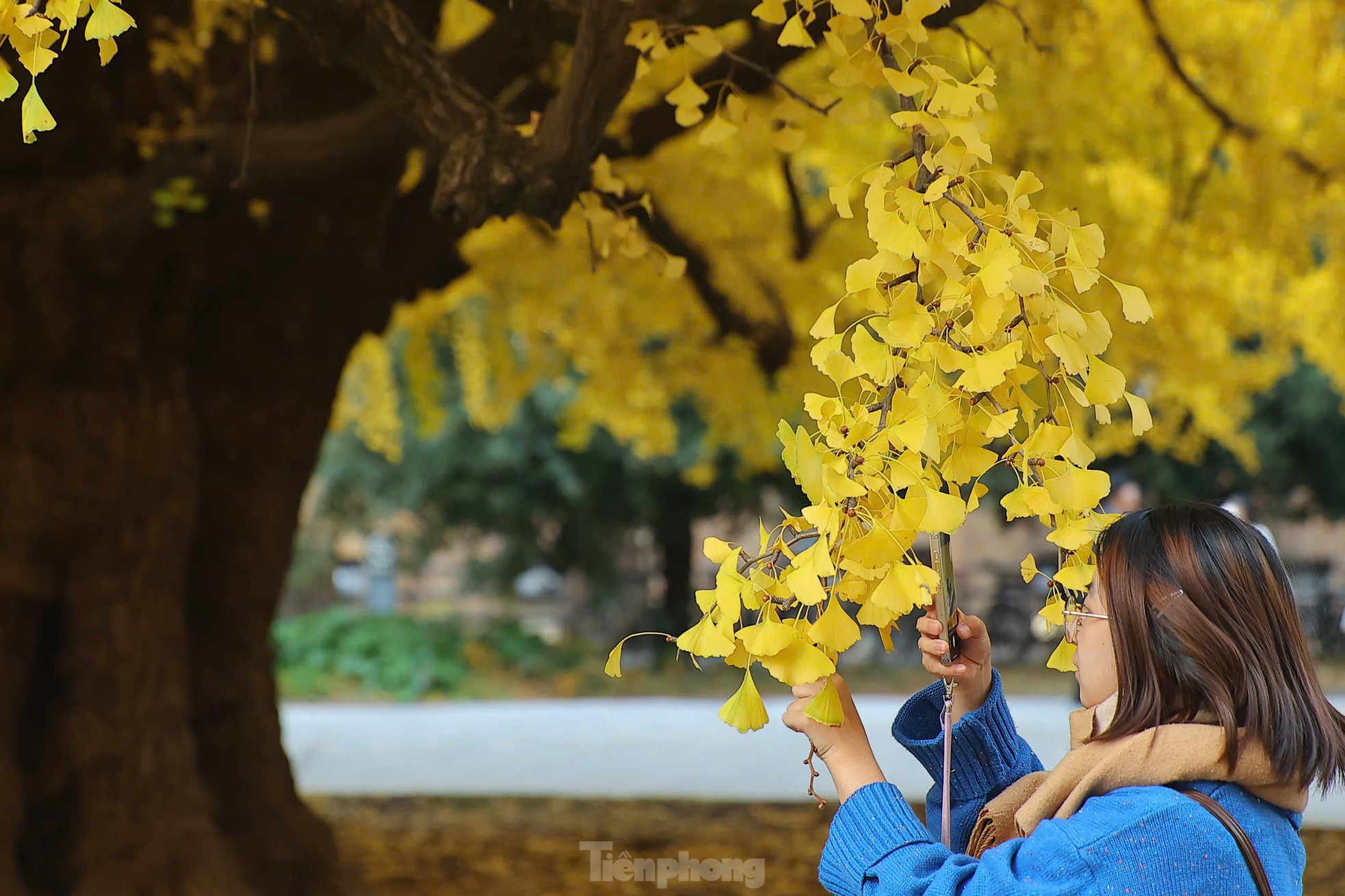 日本の紅葉の秋景色に魅了される写真22