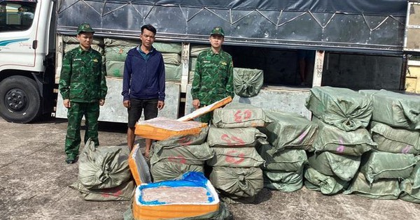 Guardias fronterizos de Quang Ninh confiscan más de 6 toneladas de órganos de cerdo sucios