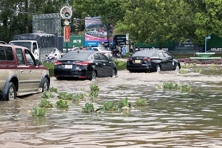 Далат сильно затоплен, деревья упали после сильного дождя - 1