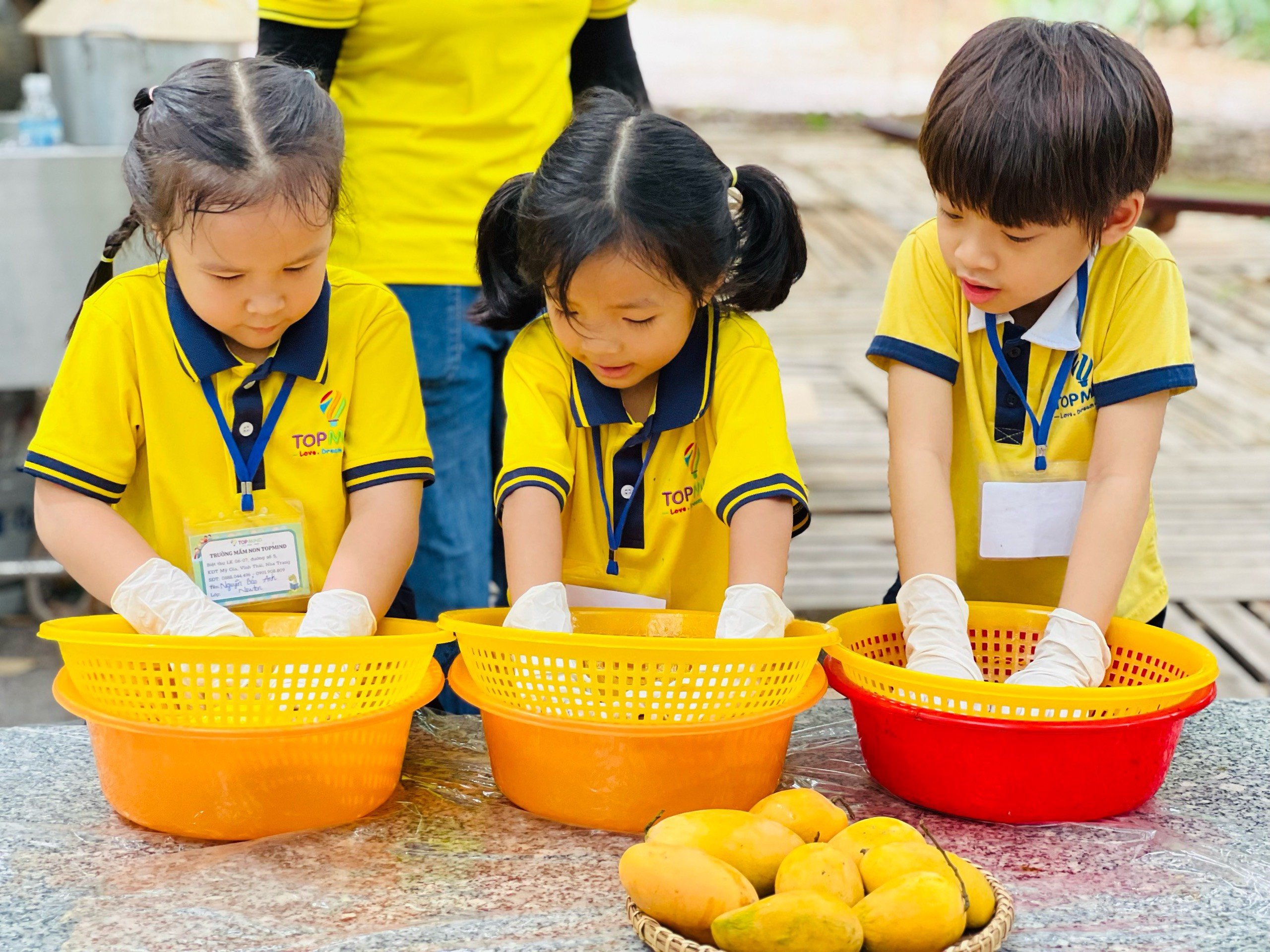 Một vùng đất của tỉnh Khánh Hòa có những cây xoài cổ thụ, du khách kéo đến check in, nông dân chỉ việc thu tiền- Ảnh 3.