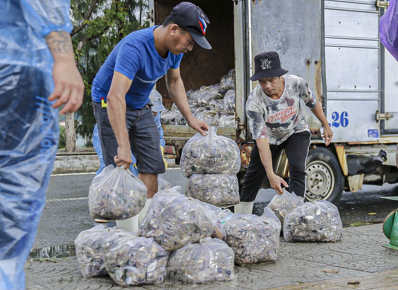 Los pescadores de Da Nang pescan cerca de la costa y ganan millones tras la tormenta (foto 13)