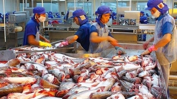 Pangasius export turnover in 9 months is estimated to reach nearly 1.5 billion USD