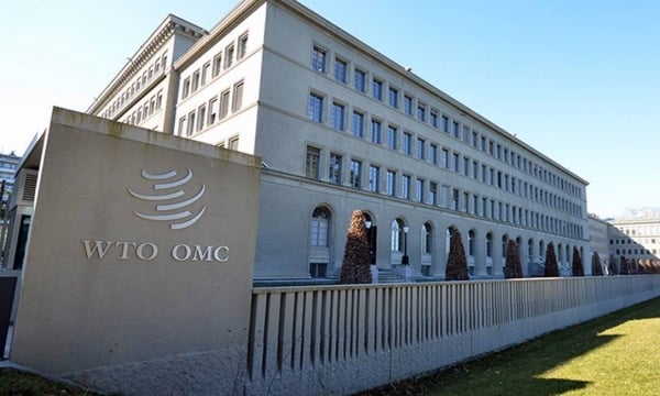 WTO คาดการณ์เศรษฐกิจโลกจะเติบโตต่อเนื่องในอีก 2 ปีข้างหน้า