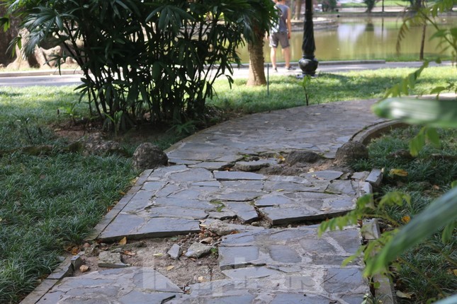 Estado actual de los parques de lento progreso en Hanoi foto 8