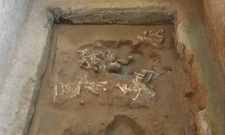 Descubren un carro de 2.000 años de antigüedad cerca de un ejército de terracota