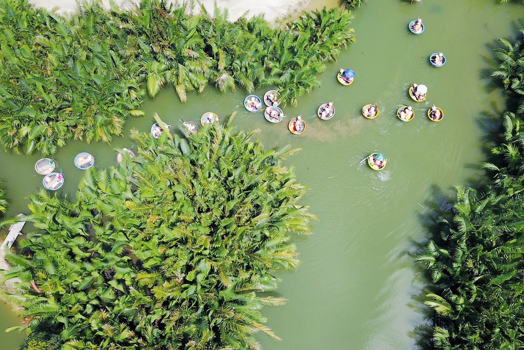 Viele Startup-Ideen in Hoi An zielen darauf ab, lokale kulturelle Werte zu fördern und die ökologische Umwelt zu bewahren. Auf dem Foto: Tourismusprodukt des Kokosnusswalds von Cam Thanh. Foto: Q.HAI