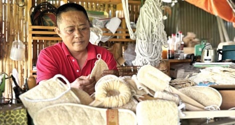 Luffa exportieren