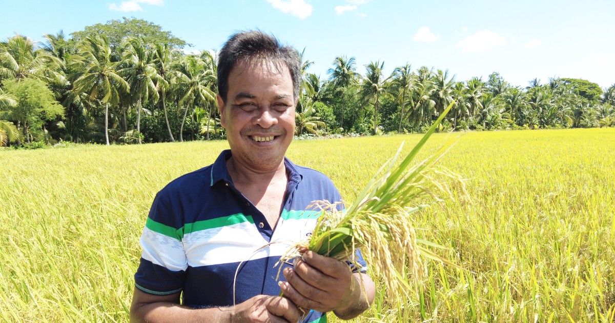 Promouvoir le processus d'« intellectualisation des agriculteurs »