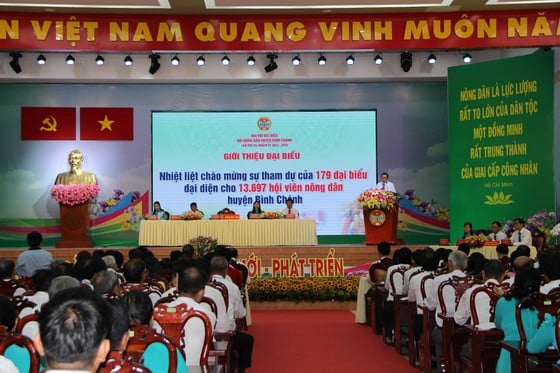 More than 1,000 farmers in Binh Chanh district donate land to build roads photo 4