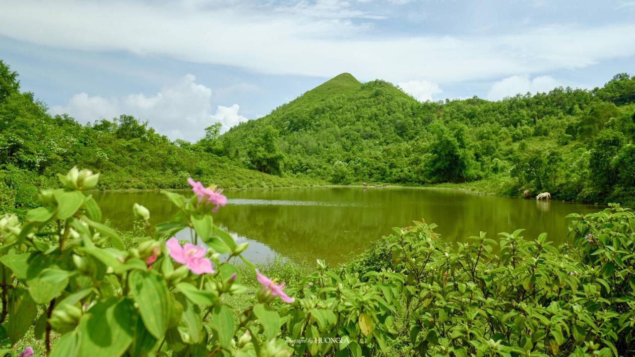 'Đà Lạt thu nhỏ' cách Hà Nội 100km, khách tới săn mây, cắm trại giữa rừng