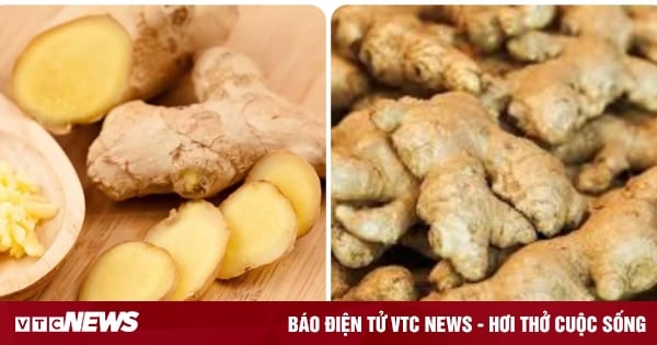 People who should not eat ginger regularly