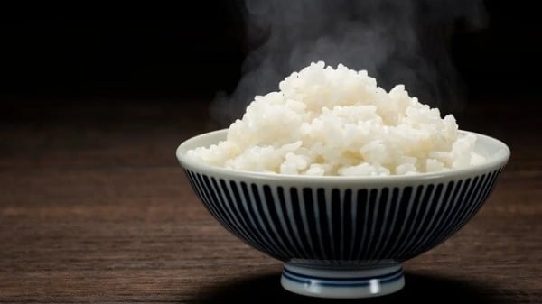 Révéler le secret pour manger sans se soucier du poids