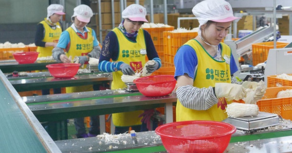 Korea increases minimum wage, how much is the new salary for Vietnamese workers?