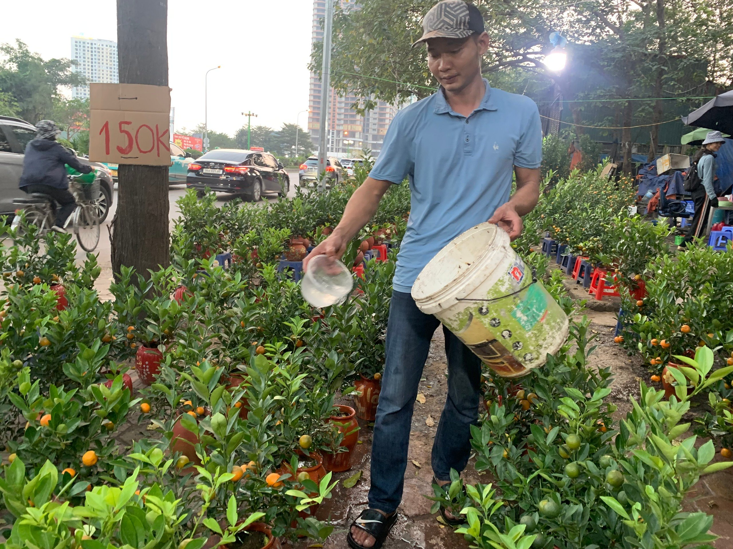 Quất cảnh chơi tết bán chậm, thương lái đồng loạt 'xả hàng'- Ảnh 2.