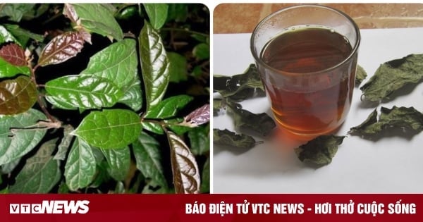 What is the effect of drinking black leaf?