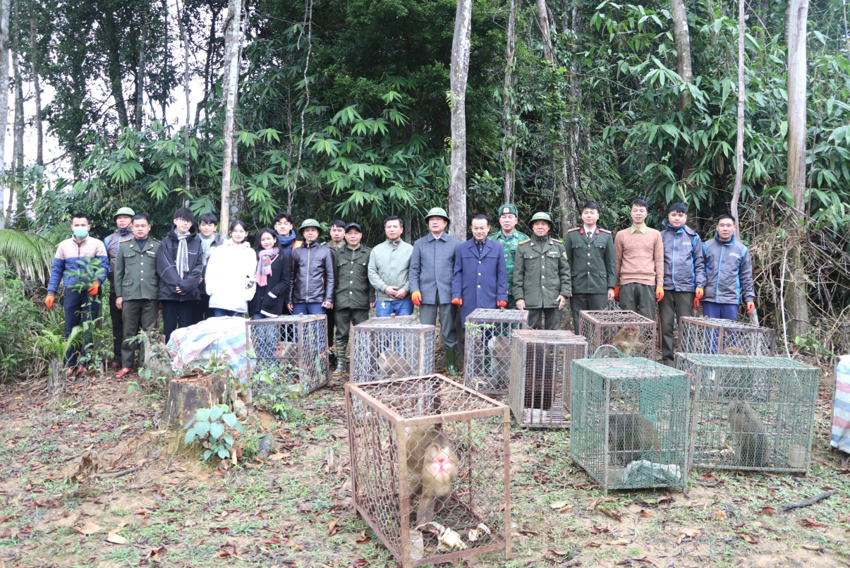 Thả động vật hoang dã vô khu rừng nổi tiếng Hà Tĩnh, đàn khỉ leo lên cây, rắn hổ mang bò qua vũng nước- Ảnh 1.